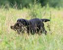 20140712-mha-0269