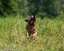 20140712-mha-0434