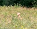 20140712-mha-0517