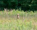 20140712-mha-0525