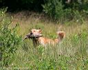 20140712-mha-0529