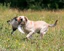 20140712-mha-0568