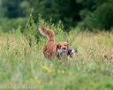20140712-mha-0602