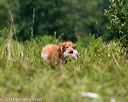 20140712-mha-0657