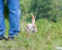 20140712-mha-0705