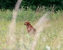 20140712-mha-0777