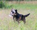 20140713-jhl-0050