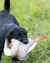 20140713-jhl-0071