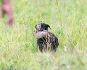 20140713-jhl-0079