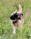 20140713-jhl-0131