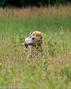 20140713-jhl-0171
