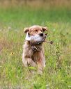20140713-jhl-0174