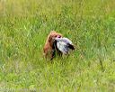 20140713-jhl-0279