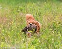 20140713-jhl-0294