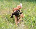 20140713-jhl-0320