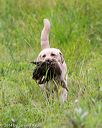 20140713-jhl-0351