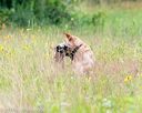 20140713-jhl-0541