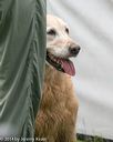 20140713-shw-0001