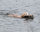 20140713-shw-0004
