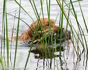 20140713-shw-0022