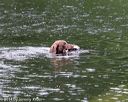 20140713-shw-0027