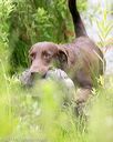 20140713-shw-0050