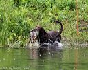20140713-shw-0064
