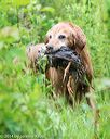 20140713-shw-0104