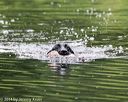 20140713-shw-0202