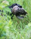 20140713-shw-0205