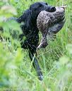 20140713-shw-0206