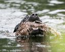 20140713-shw-0236