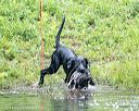 20140713-shw-0241