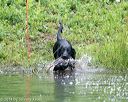 20140713-shw-0243
