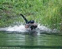 20140713-shw-0260