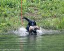 20140713-shw-0281