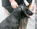20140713-shw-0353