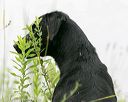 20140713-shw-0409
