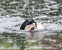 20140713-shw-0419