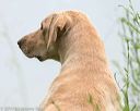 20140713-shw-0502