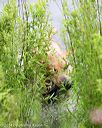 20140713-shw-0531