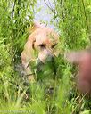 20140713-shw-0533