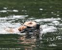 20140713-shw-0535