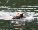 20140713-shw-0536