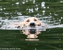 20140713-shw-0550