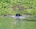 20140713-shw-0569
