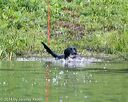 20140713-shw-0570