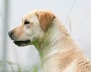 20140713-shw-0576