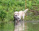 20140713-shw-0591