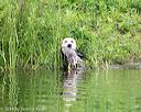 20140713-shw-0595